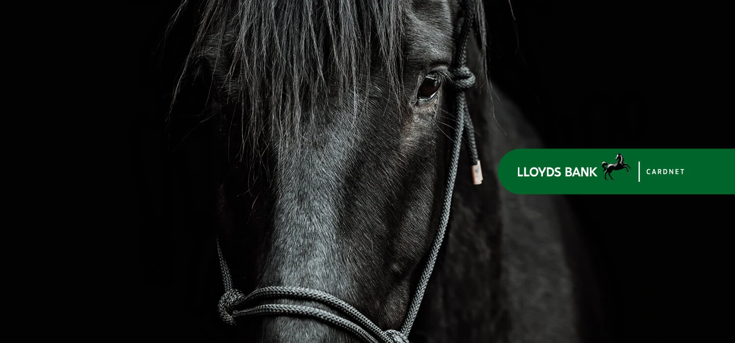 LLOYDS BANK – PAYMENT GATEWAY BESPOKE BUILD AND INTEGRATION.